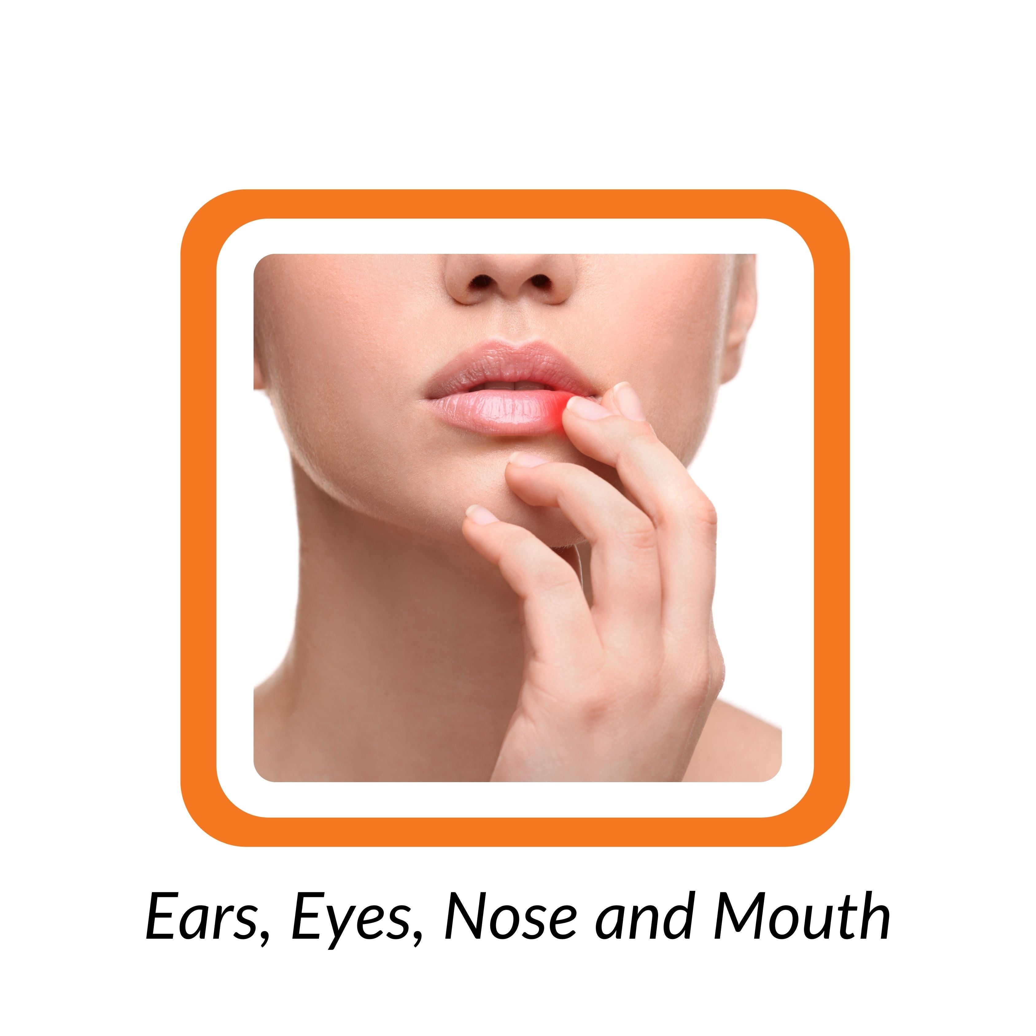 Ears, Eyes, Nose and Mouth